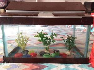 Small size Aquarium with artificial plants and