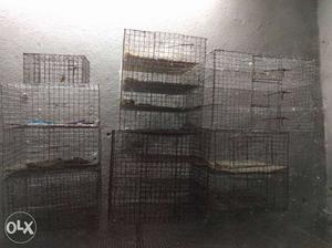Transportation cages for birds.