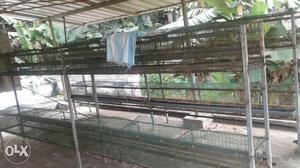 Used kada 400 cage sale