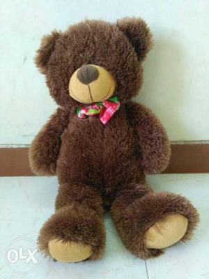 Brown colour teddy bear
