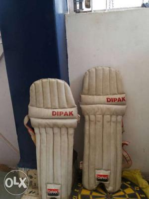 FREE ! ! Want to give away Cricket pads. Its Free