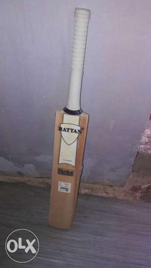 Kashmiri willo hard crafted best bat.. it is