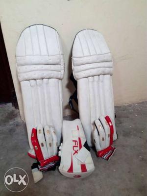White-and-red Cricket Batting Pads And Gloves