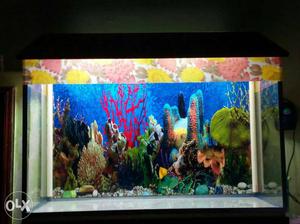 Aquarium for sale