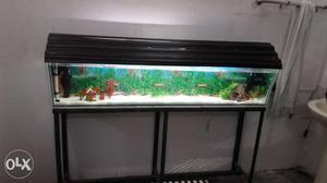 Black Framed Fish Tank With Stand