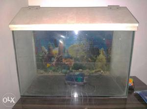 Fish tak and aquarium air pump