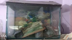 Fish tank for sell size " i.e length