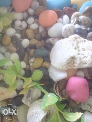 Fishtank marbles/ Stones (4kg)