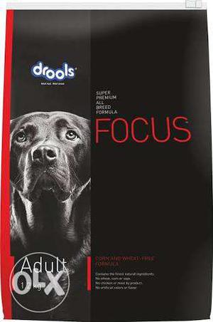 Focus Dog food available