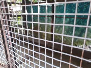 Gray And Brown Steel Pet Cage