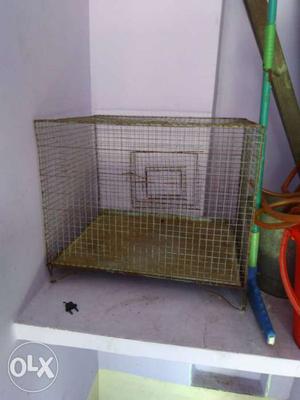 Gray Metal Wire Kennel