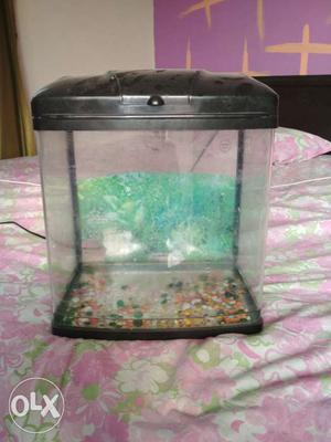 Small size imported 25 litre aquarium with all