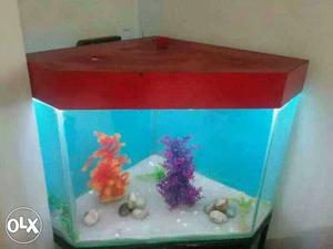 Uniqe Gaint Dimond shap fish tank with all
