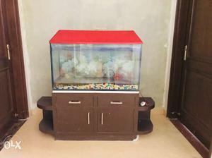 3 feet wide aquarium with all the accessories