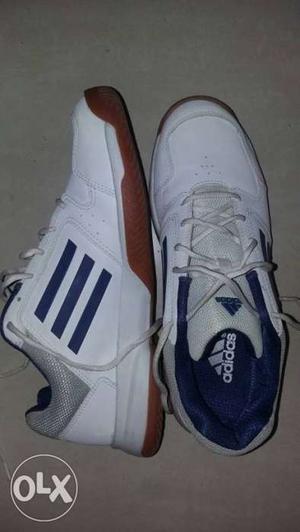 Adidas White Shoes No.10 (Badminton Shoes) New