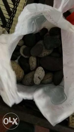 Aquarium stones of different size n colour