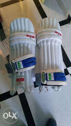 BDM Branded New pad and gloves and 1 bat