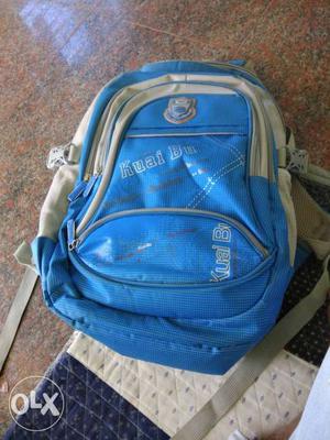Blue And Grey Backpack Bag