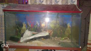 Fish Tank (3FT)