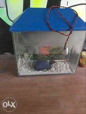 Fish tank aquarium with pump urgent sell
