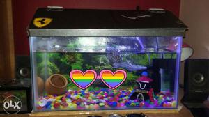 Fish tank fish pot and all items at hollsale rate