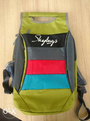 Gray, Green, Pink, And Blue Skybags Backpack