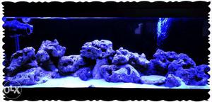 Marine tanks for this winter