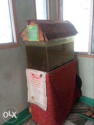 Medium size fish tank with wooden stand