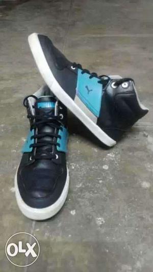 Puma el ace 2 in brand new condition. mrp .