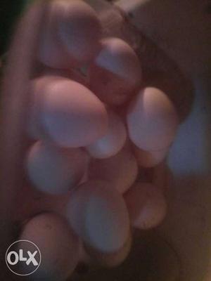 Pure desi hen eggs for sell