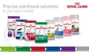 Royal canin dog food for sell -