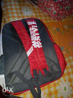 School bag (company sky bag)