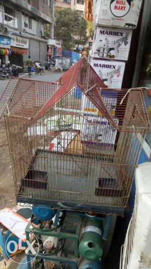 Second hand bird cage in good condition want to