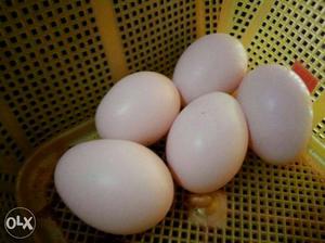 White and Golden Silky Eggs