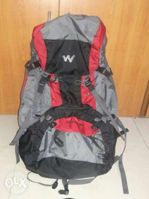 Wildcraft rucksack bag