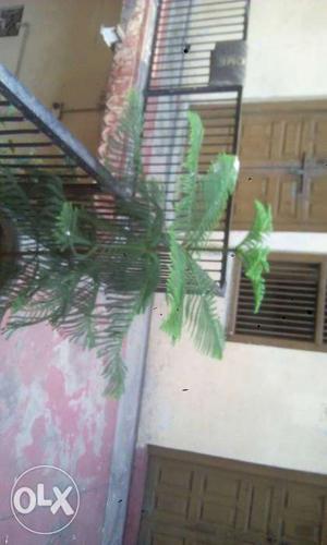 Good condition check it