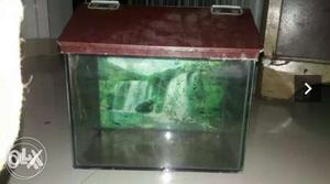 1.5 fit fish tank with patra and 2 kg stone