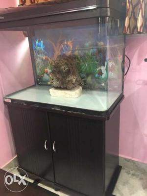 1 year old Aquarium for sale