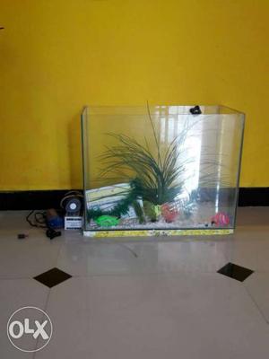 2 Feet long tank with other items all in one price