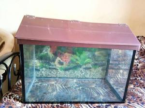 2 ft by 1 ft by 1.25 ft aquarium fish tank for
