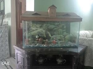 A good condition aquarium available for sale WITH