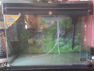 Aquarium with filter, oxygen motors, stones and decorative