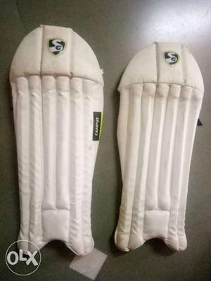 Campus cricket batting guards only once used like