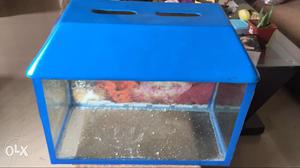 Fish Tank available in Good Condition