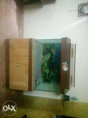 Fish Tank size: