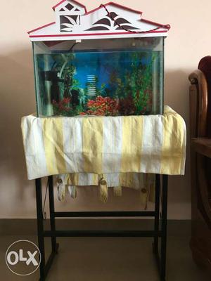 Fish tank with stand for sale