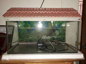 Fishtank with Filter Call 