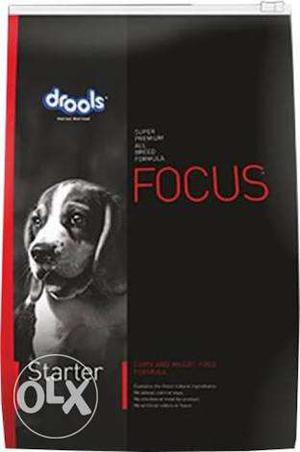 Focus Dog food Pack 79OOO6 Call Now In Agra