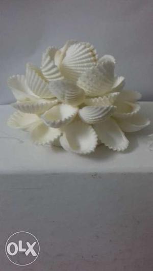 Handicraft Shell made flower. Very beautiful
