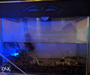 Hi guys, selling fish tank which includes filled